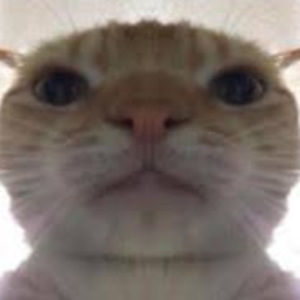 Meet your Posher, Jimmy